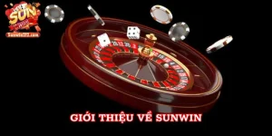 Giới thiệu về Sunwin