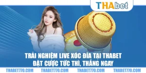 Trải nghiệm live xóc đĩa tại Thabet – Đặt cược tức thì, thắng ngay